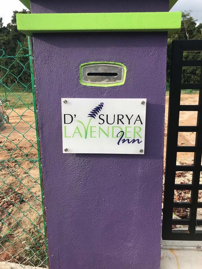 פנתאי צנאנג D' Surya Lavender Inn מראה חיצוני תמונה